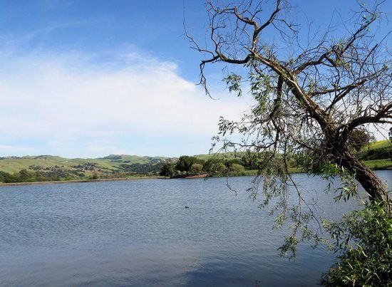 Ed Levin County Park